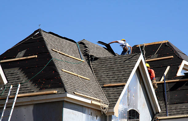 Best Local Roofing Companies  in Siesta Shores, TX